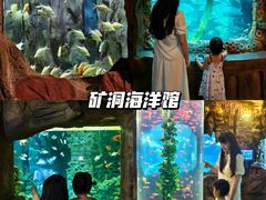 -长鹿旅游休博园