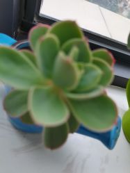 -尚艺造型.剪烫染.接发