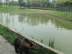 -上海野生动物园