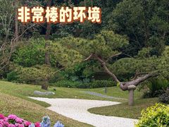 -云溪植物园