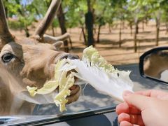 -秦皇岛野生动物园