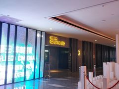 -武商摩尔影城(国广IMAX激光店)