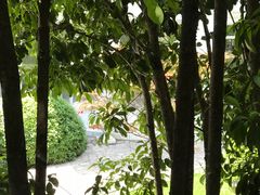 -花马天堂云南餐厅 Lost Heaven(高邮路店)