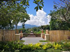 -四季酒店下午茶