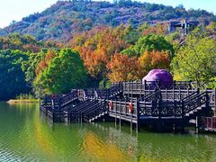 -白马涧龙池景区