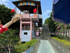 -百万葵园