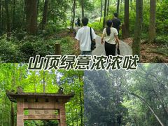 -凤栖山