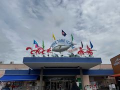 -南纪白浜Toretore市场
