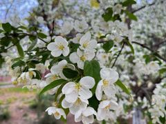 -元大都城垣遗址公园