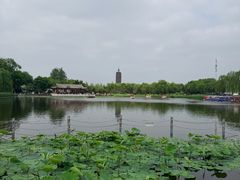-西海子公园