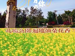 -北坞公园