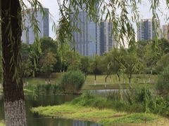 -洋湖国家湿地公园