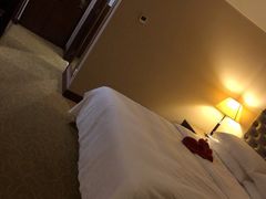 -天津燕园国际大酒店