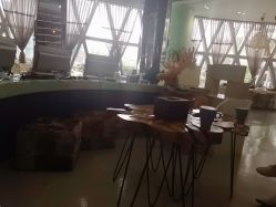 -威拉发艺
