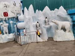 -白鹿仓冰雪海洋世界