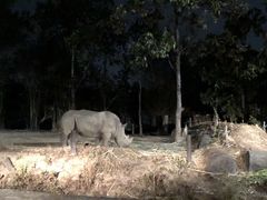 -清迈夜间动物园