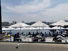 -悉尼鱼市场