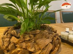 点击看大图 -芳香乐府SPA·五行芳疗