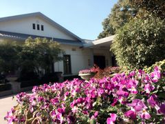 虹桥迎宾馆-上海虹桥迎宾馆