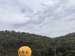 -千年银杏谷文化旅游区