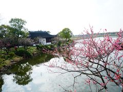 -上海海湾国家森林公园