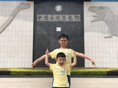 -中国西峡恐龙遗迹园