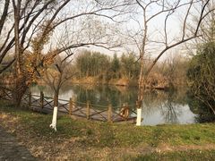 -西溪国家湿地公园