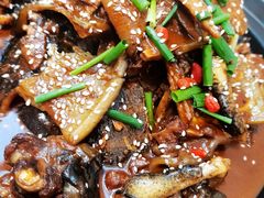 甲鱼牛蛙鸡-元银甲·湖北地标美食(汉阳店)