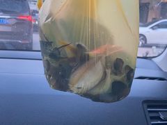 -小猫钓鱼海钓俱乐部(椰梦长廊店)