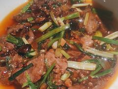 -大鸭梨烤鸭店(花园村店)