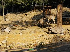 -杭州野生动物世界