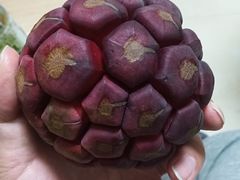 -南门绿玉农贸市场