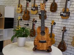 -WithU悠弦时光·尤克里里之家ukulele(宽窄巷子店)