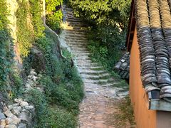 -杨家堂村