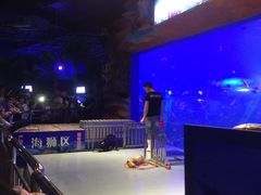 -白鹿仓冰雪海洋世界