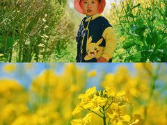 -前小桔亲子创意农场·草莓采摘·露营烧烤