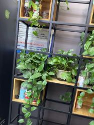 -藤野造型烫染·漂发