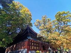 -香山公园