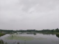 -东郊湿地公园