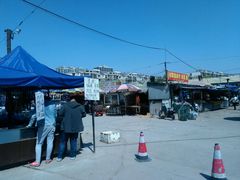 android_upload_pic-长宁东道花卉宠物市场