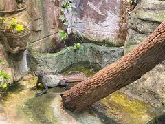-上海大自然野生昆虫馆