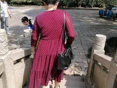 -雨花胜境