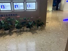 -柏乐口腔医院·舒适化无痛种植牙中心(东盟商务区院)