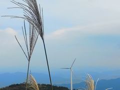 -东白山
