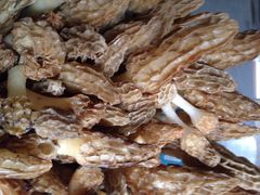 iphone_upload_pic-迎宾饭店
