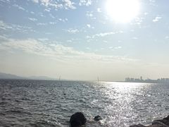 -深圳湾公园(南山区)