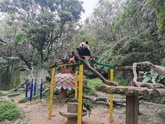 -广州长隆野生动物世界