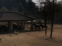 -杭州野生动物世界