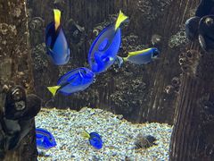 -海合安武汉极地海洋公园