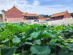 -清东陵